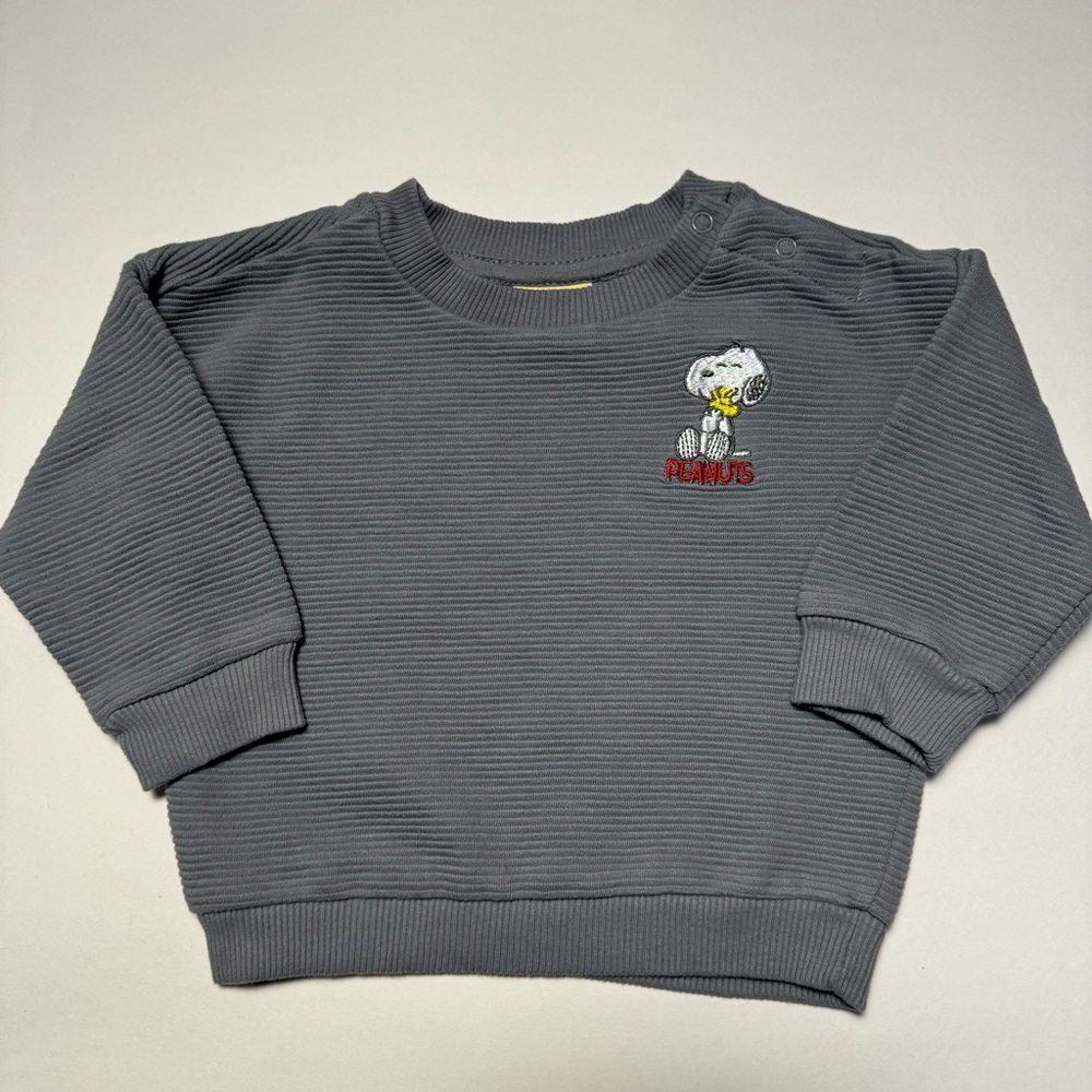 Peanuts brand Snoopy and Woodstock textured crewneck